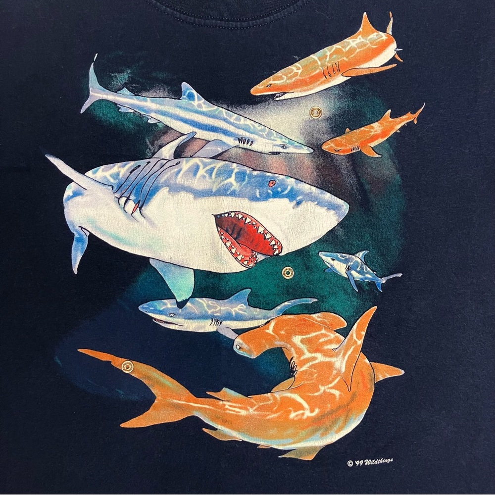 90s Vintage Graphic T-Shirt 1999 Boys Size Medium Tee Sharks Vancouver Aquarium - Picture 7 of 12